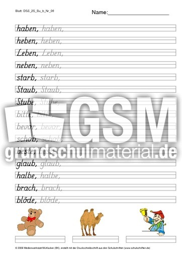 DSS_2S_Bu_b_Nr_06.pdf